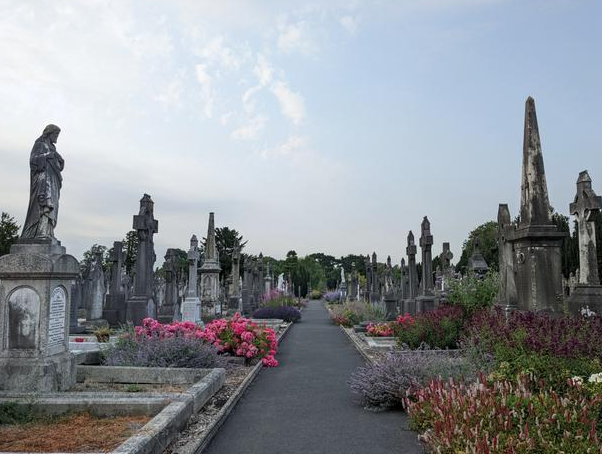 ��԰����ɽ