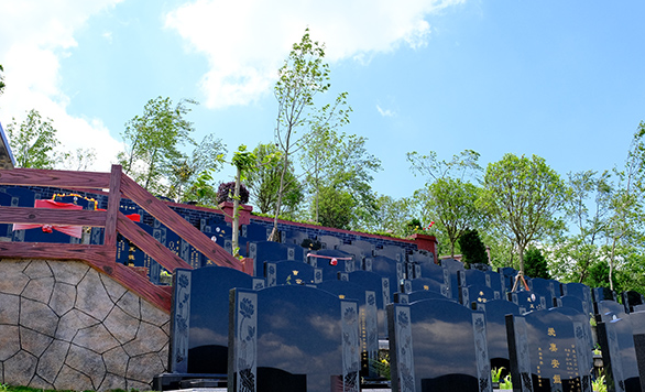 <b>������԰������Ĺ������Щ��������Щ�ص㣿</b>